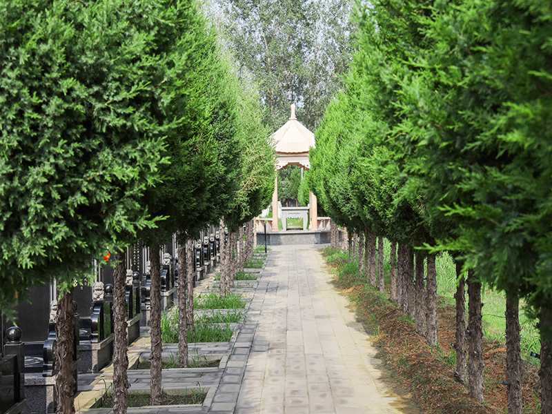 影响陵园墓地的因素有哪些？怎样可以选择适合的墓地