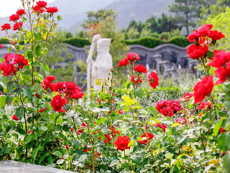 2023年春节，八宝山殡仪馆正常营业吗？八宝山殡仪馆电话
