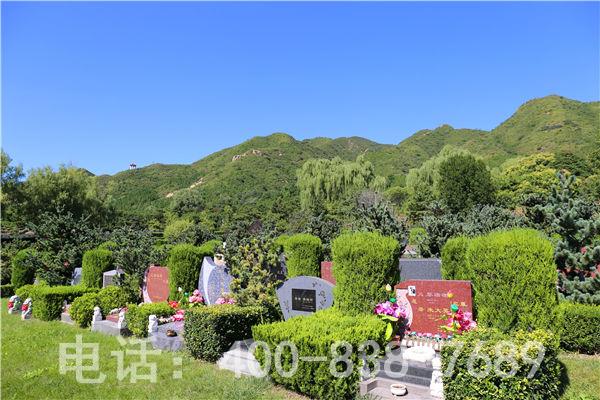 北京天寿陵园的生态葬价格高吗？如何查询？
